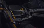 Porsche 718 Cayman GT4 2019 года (WW)